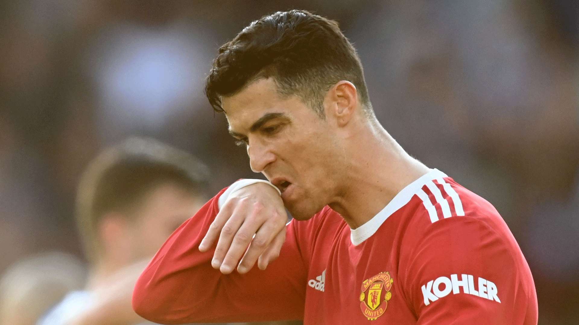 到充分体现 到充分体现